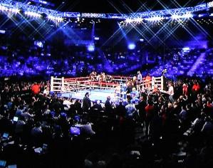 Feel free to contact boxing base with any questions