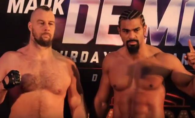 Haye vs de Mori - David Haye & Mark de Mori scored well on our Winner Poll
